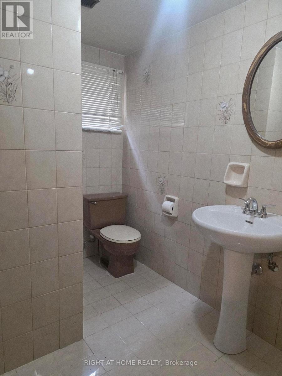 Lower - 252 Maple Leaf Drive, Toronto, Ontario  M6L 1P1 - Photo 15 - W13522516