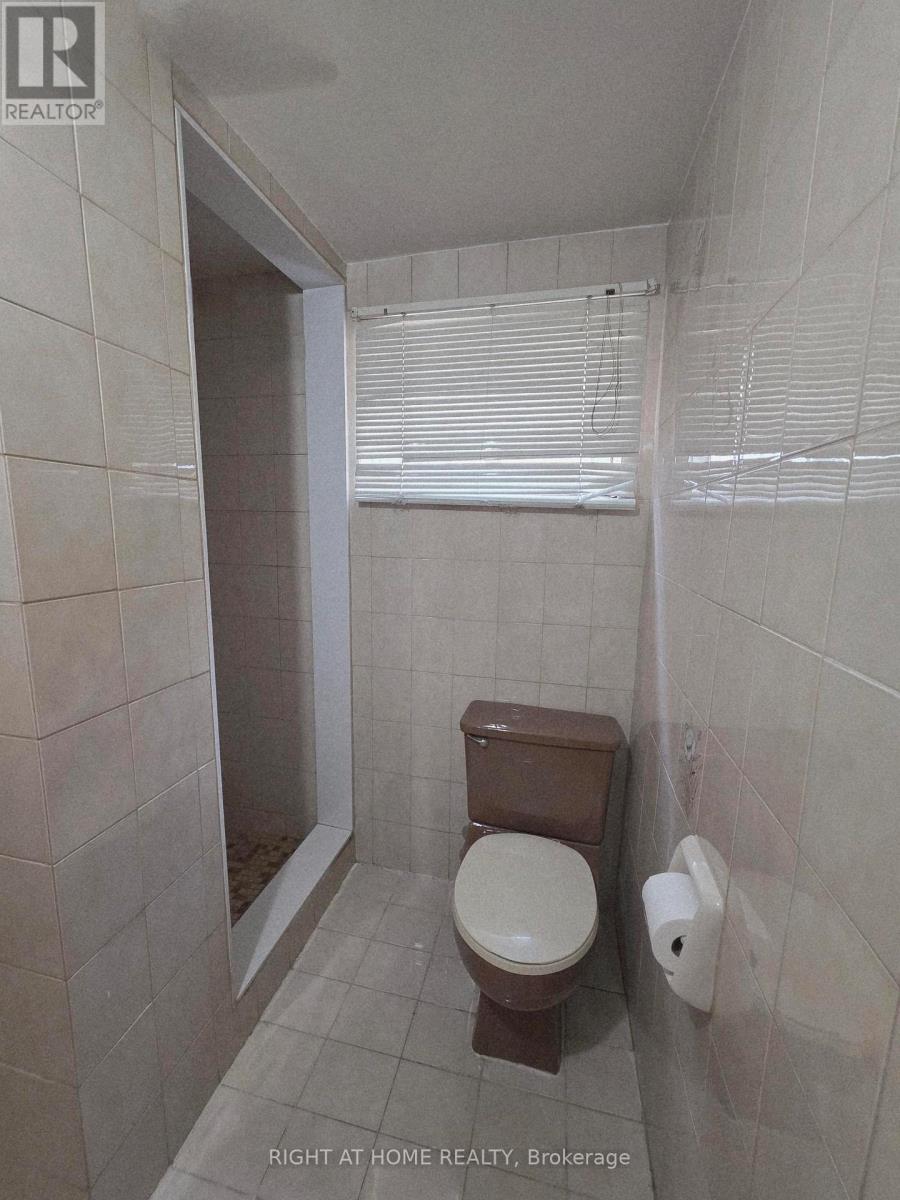 Lower - 252 Maple Leaf Drive, Toronto, Ontario  M6L 1P1 - Photo 16 - W13522516