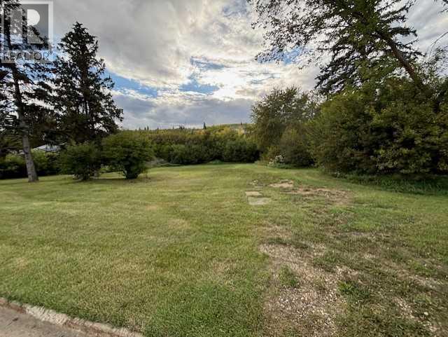 10702 90 Street, Peace River, Alberta  T8S 1N9 - Photo 4 - A2326626