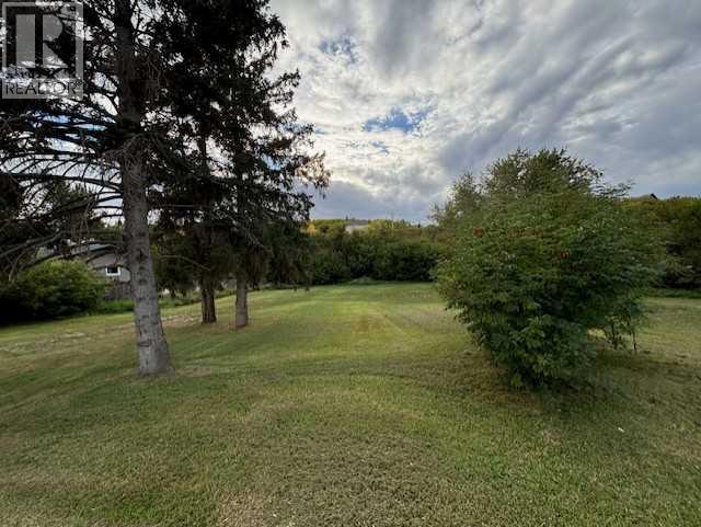 10702 90 Street, Peace River, Alberta  T8S 1N9 - Photo 5 - A2326626