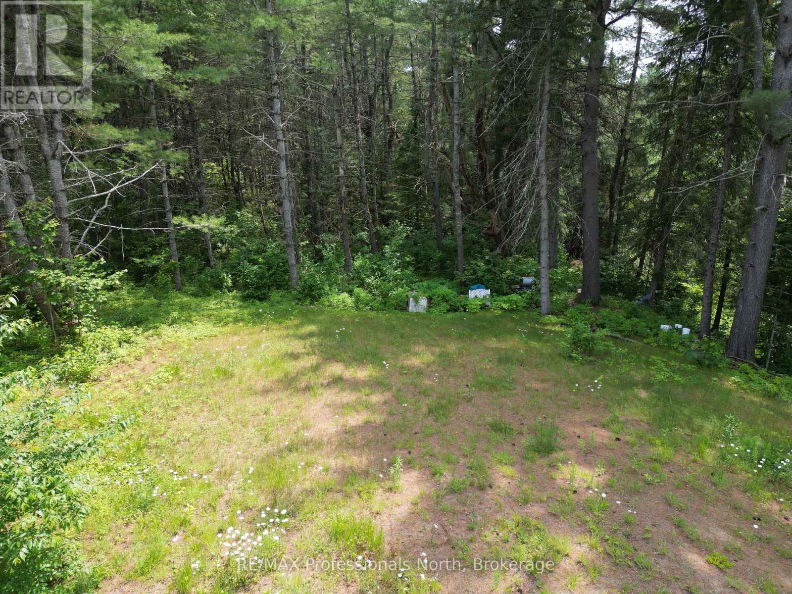 1940 Scotch Line Road, Minden Hills (Minden), Ontario  K0M 2K0 - Photo 10 - X13522662