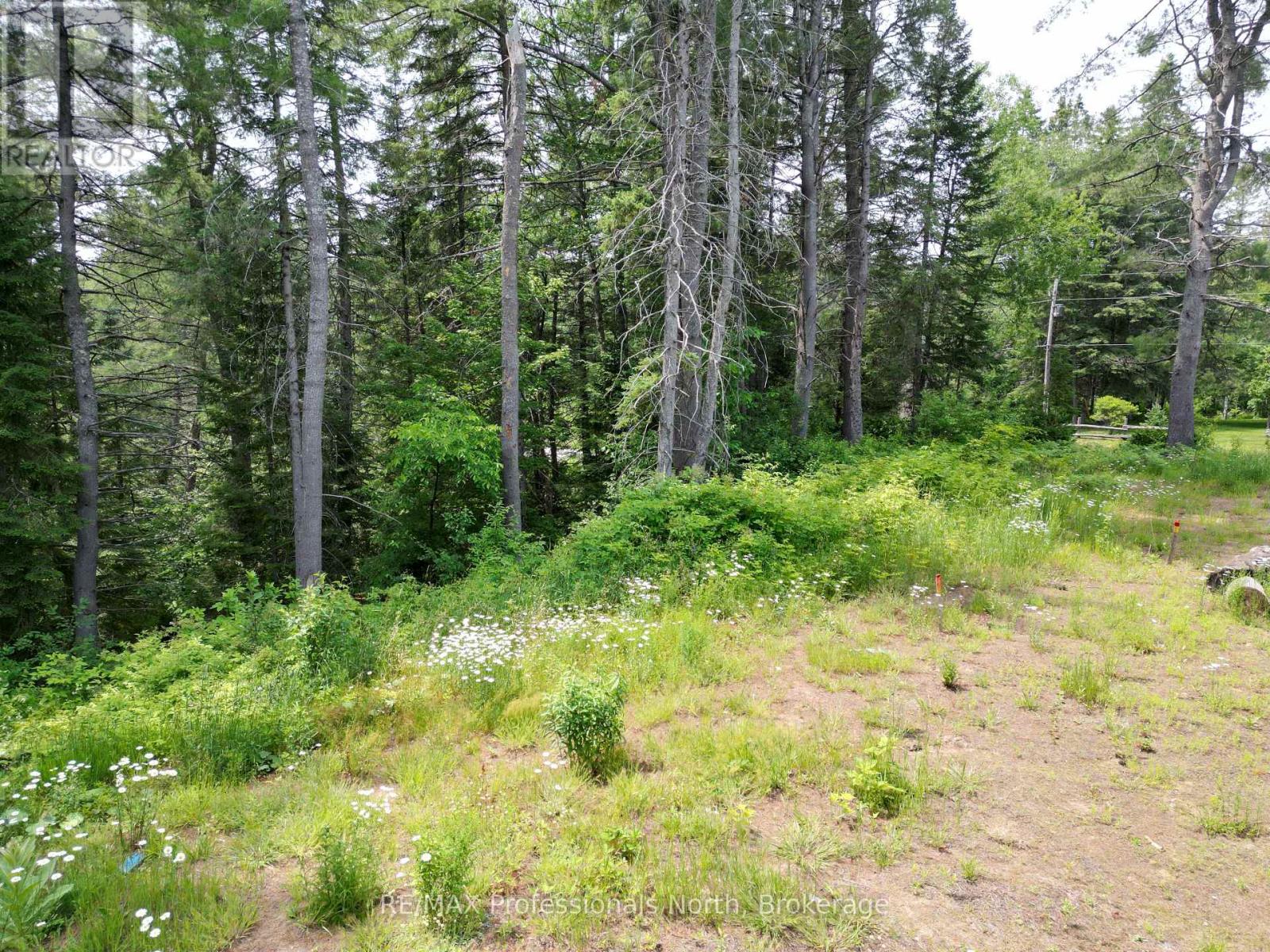 1940 Scotch Line Road, Minden Hills (Minden), Ontario  K0M 2K0 - Photo 11 - X13522662