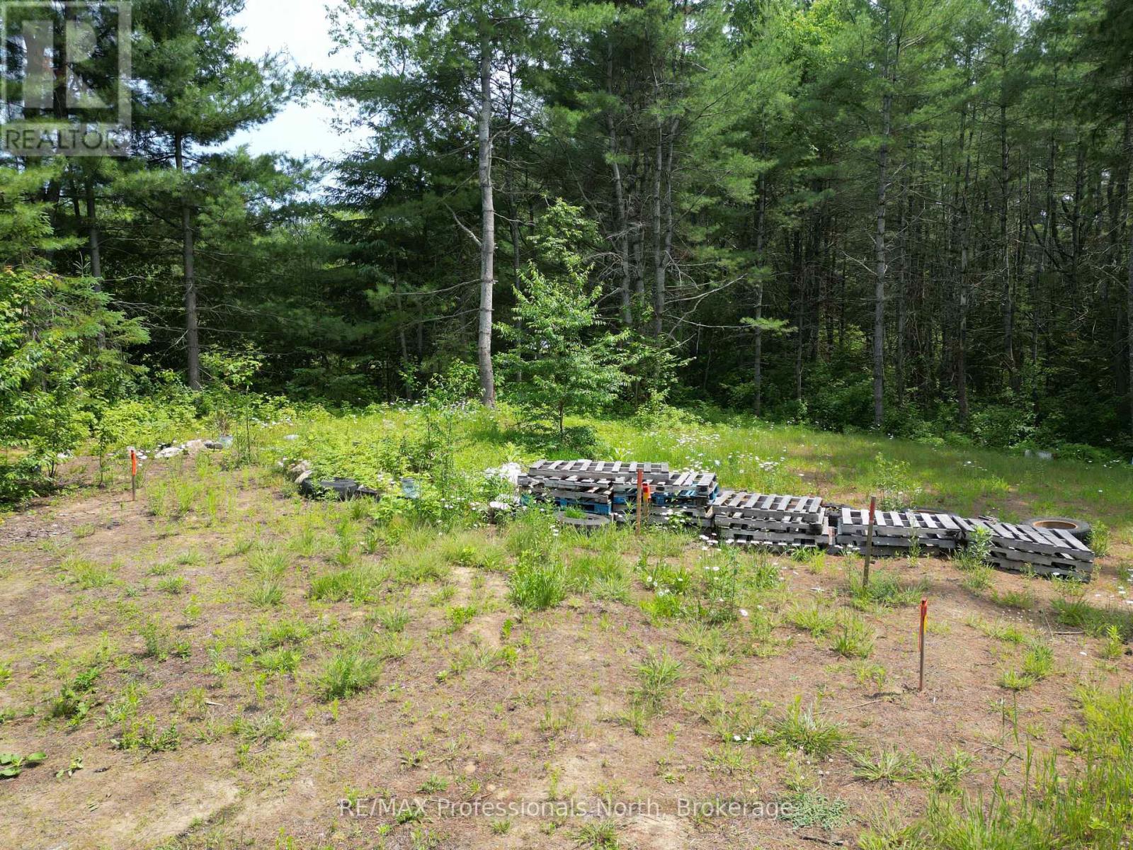 1940 Scotch Line Road, Minden Hills (Minden), Ontario  K0M 2K0 - Photo 12 - X13522662