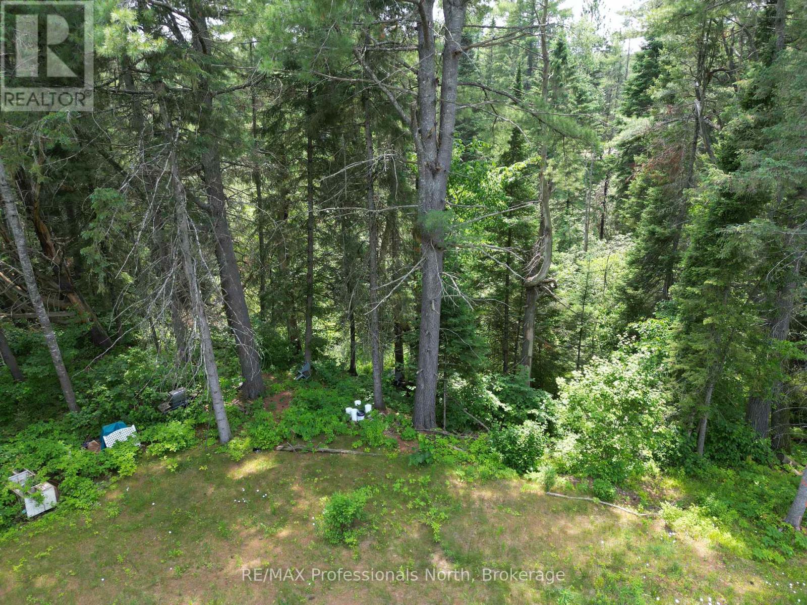 1940 Scotch Line Road, Minden Hills (Minden), Ontario  K0M 2K0 - Photo 8 - X13522662