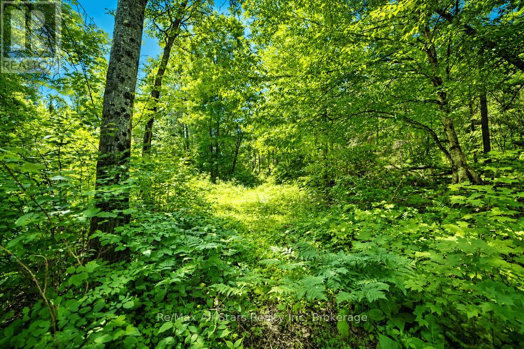 1883 Forest Lake Drive, Joly, Ontario  P0A 1Z0 - Photo 44 - X13512316