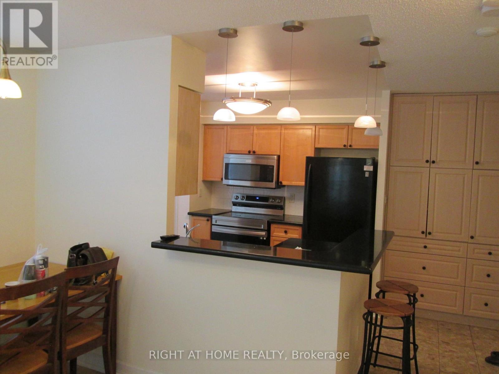 111 - 233 Beecroft Road, Toronto, Ontario  M2N 6Z9 - Photo 25 - C13280420