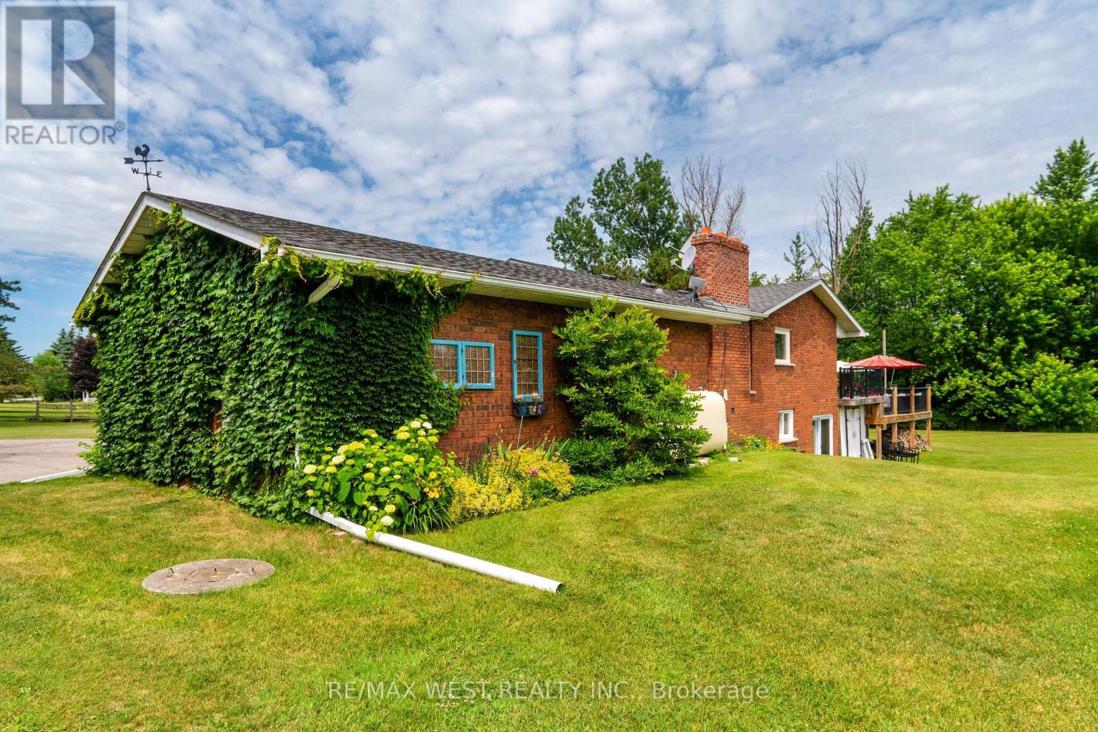 7324 Highway 9 Road S, New Tecumseth, Ontario L0G 1T0 - Photo 4 - N13523082