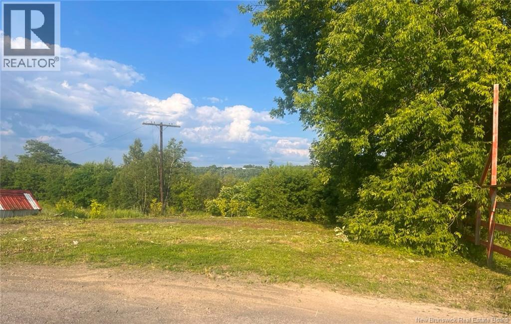 430 Main Street, Woodstock, New Brunswick  E7M 2C1 - Photo 12 - NB140707