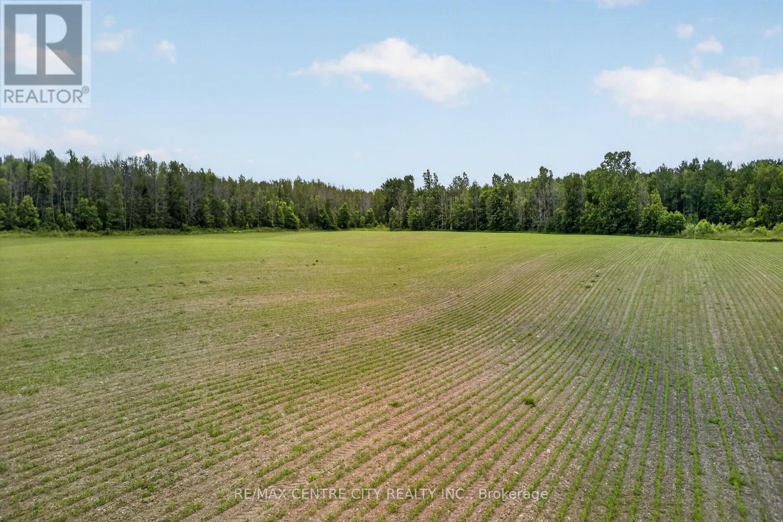 365 Concession 8, Kincardine, Ontario  N0G 2T0 - Photo 5 - X13523334