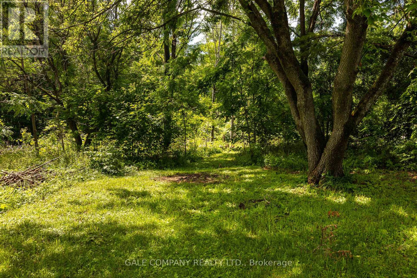 236 Blakeney Road, Mississippi Mills, Ontario  K0A 1A0 - Photo 39 - X13523290