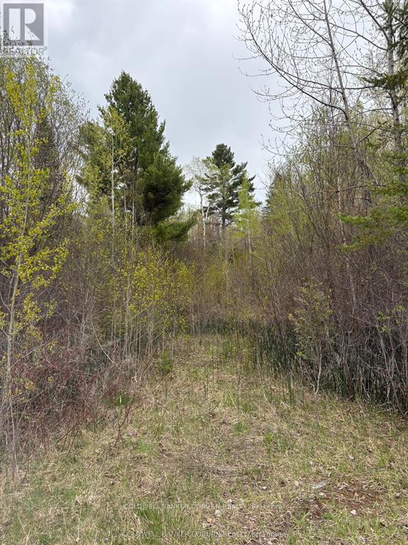 2035 VENTNOR ROAD, Edwardsburgh/Cardinal, Ontario
