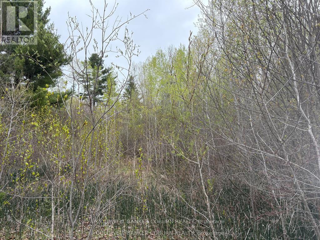 2035 Ventnor Road, Edwardsburgh/cardinal, Ontario  K0E 1X0 - Photo 4 - X13523390