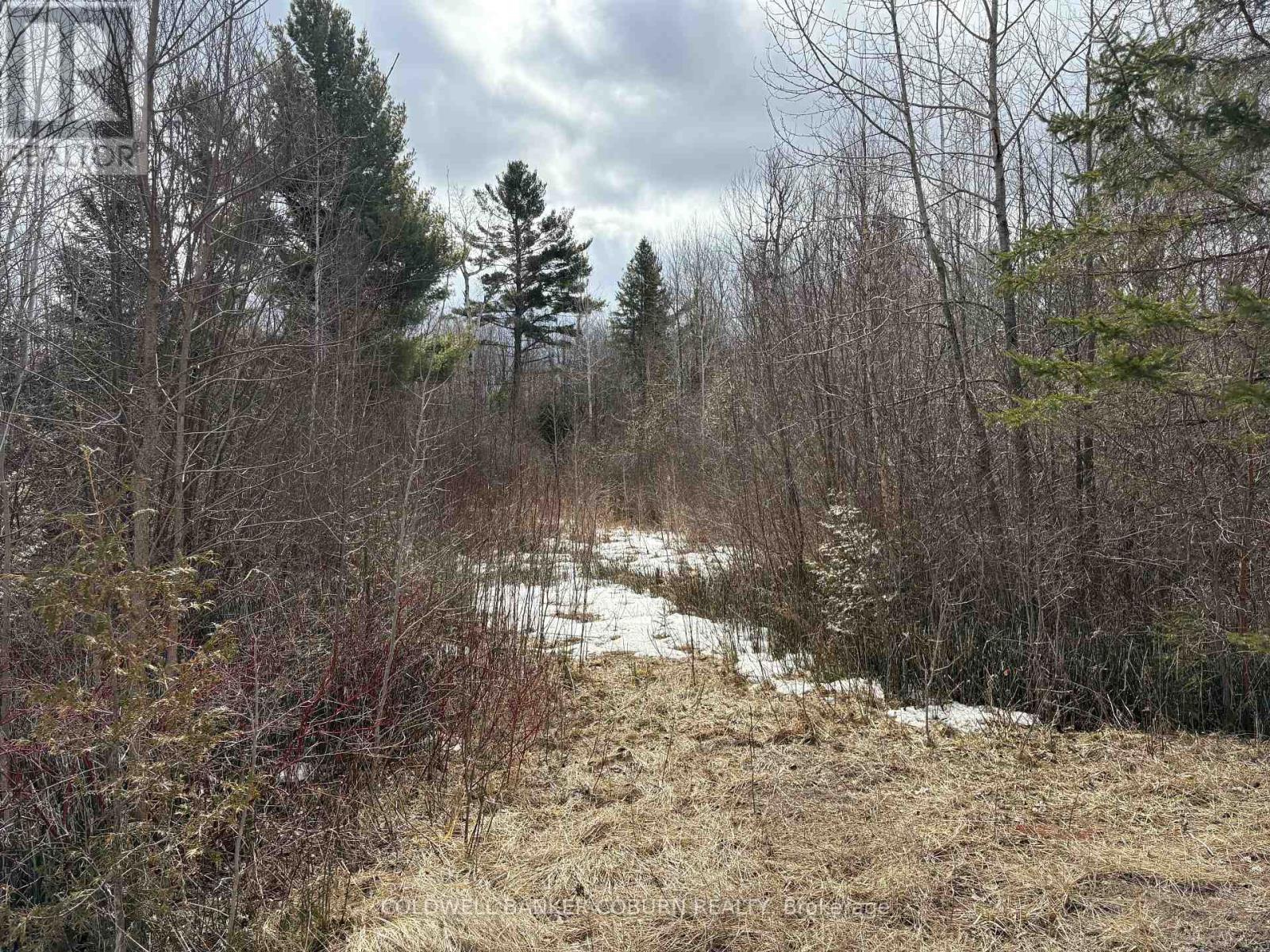 2035 Ventnor Road, Edwardsburgh/cardinal, Ontario  K0E 1X0 - Photo 8 - X13523390