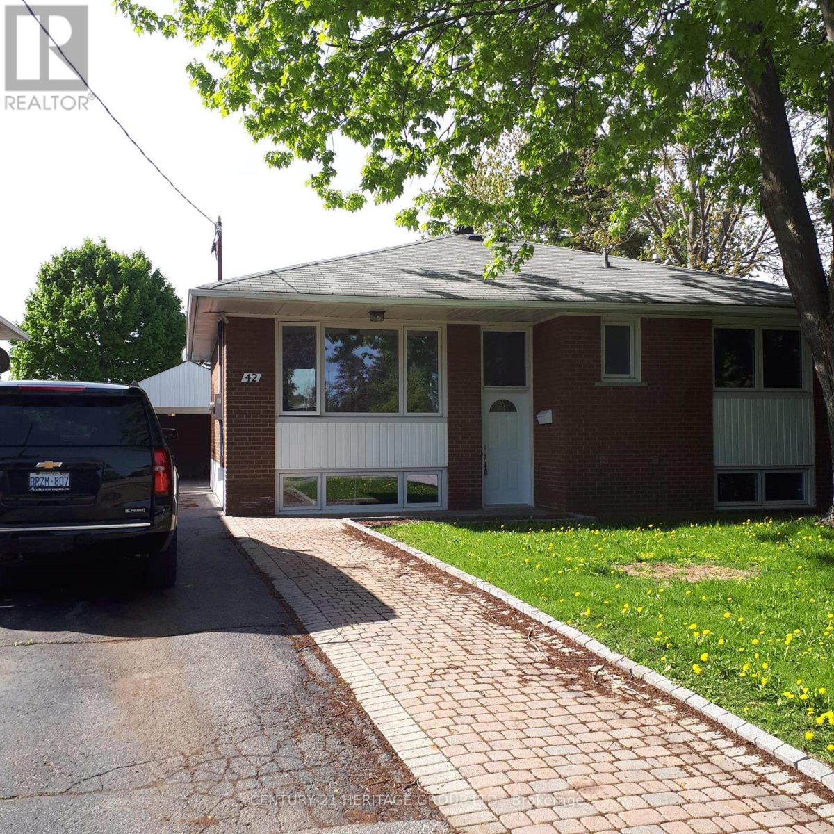 Basement - 42 Gentry Crescent, Richmond Hill, Ontario  L4C 2G9 - Photo 1 - N13523392