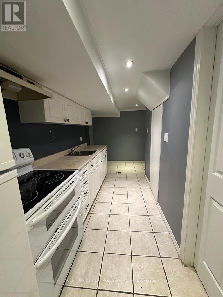 Basement - 42 Gentry Crescent, Richmond Hill, Ontario  L4C 2G9 - Photo 3 - N13523392
