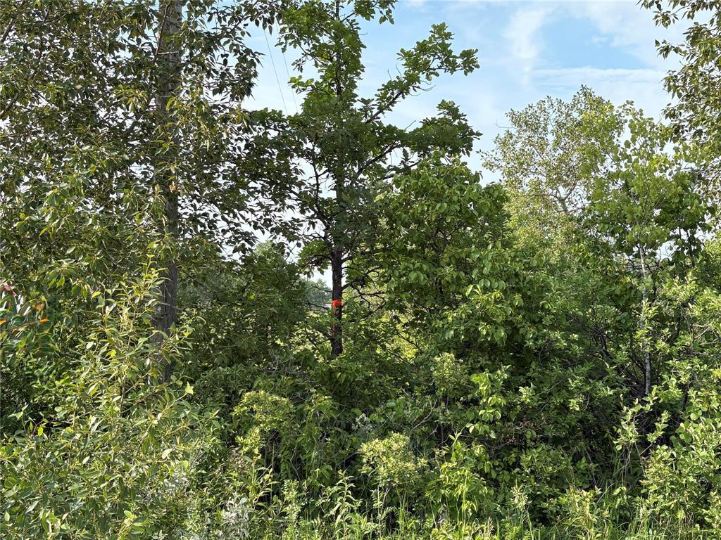 0 31n And 28e Road, Kleefeld, Manitoba R0A 0V0 - Photo 1 - 202615567