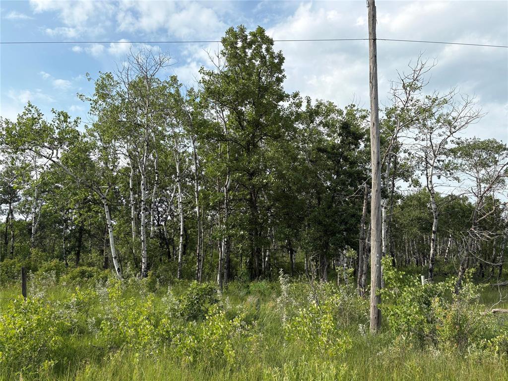 0 31n And 28e Road, Kleefeld, Manitoba R0A 0V0 - Photo 2 - 202615567