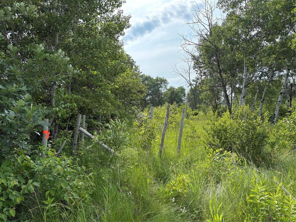 0 31n And 28e Road, Kleefeld, Manitoba R0A 0V0 - Photo 3 - 202615567
