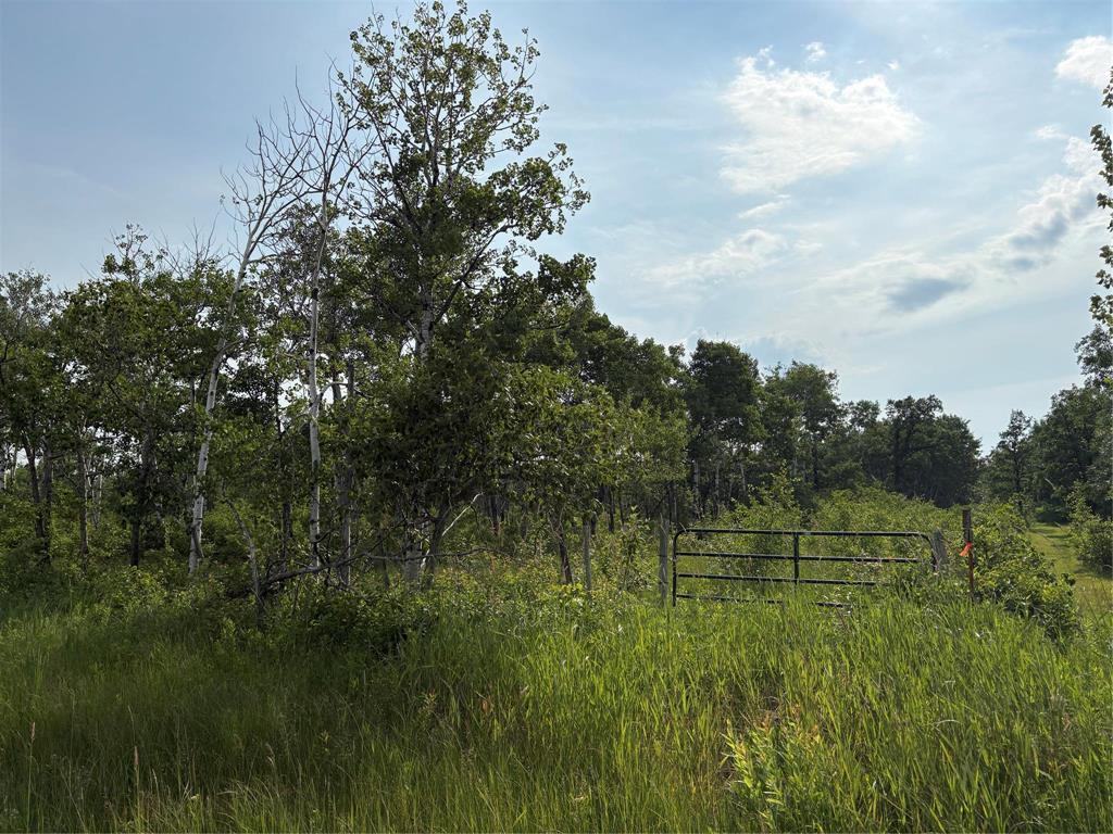 0 31n And 28e Road, Kleefeld, Manitoba R0A 0V0 - Photo 4 - 202615567
