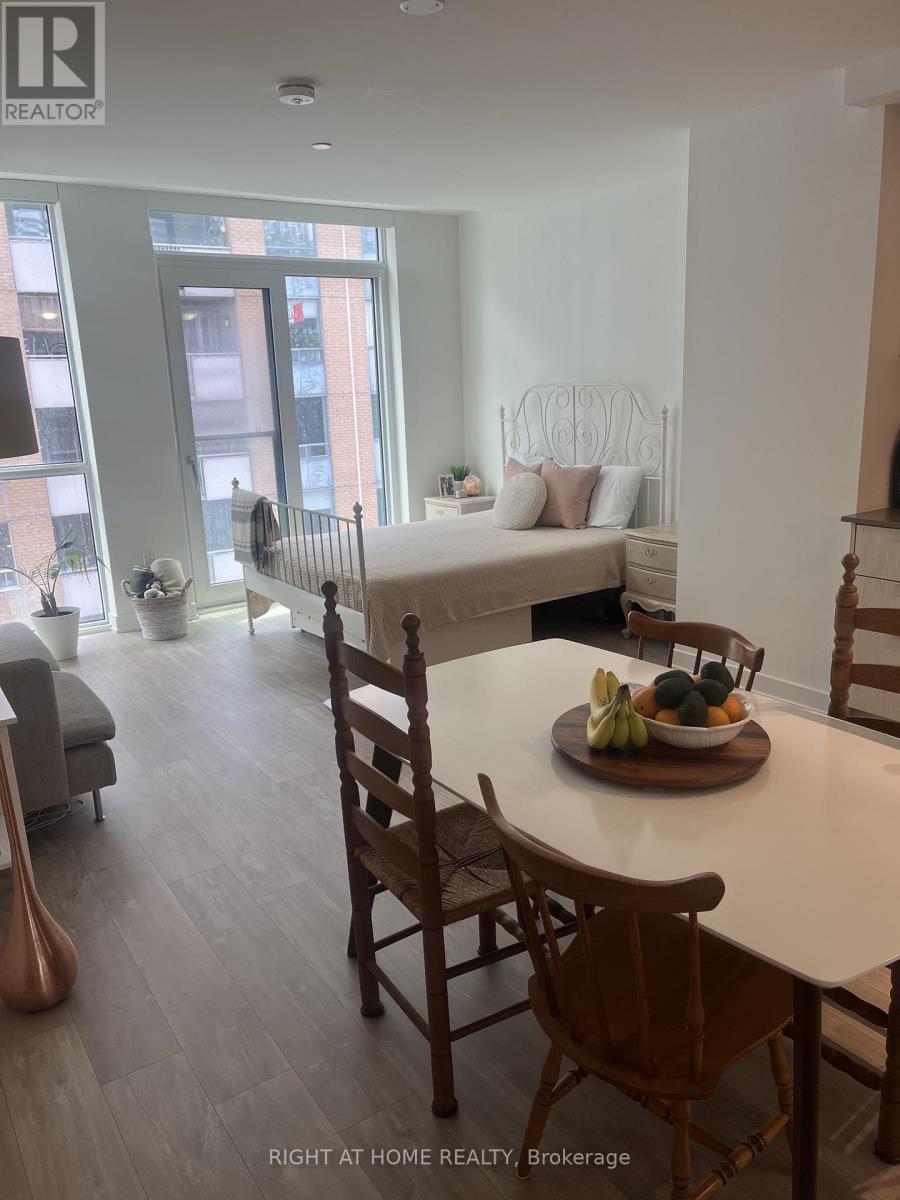 409 - 100 Dalhousie Street, Toronto, Ontario M5B 1E1 - Photo 3 - C13523656