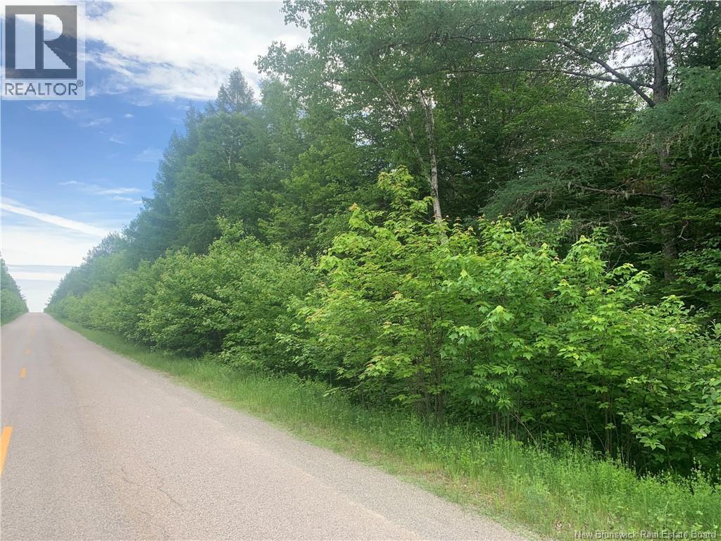 Land Route 3, Dewolfe, New Brunswick  E5A 1K8 - Photo 3 - NB136887