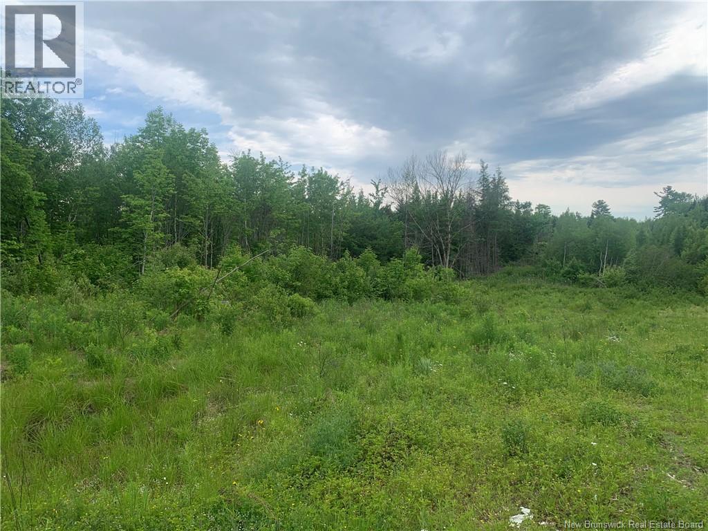 Land Route 3, Dewolfe, New Brunswick  E5A 1K8 - Photo 6 - NB136887