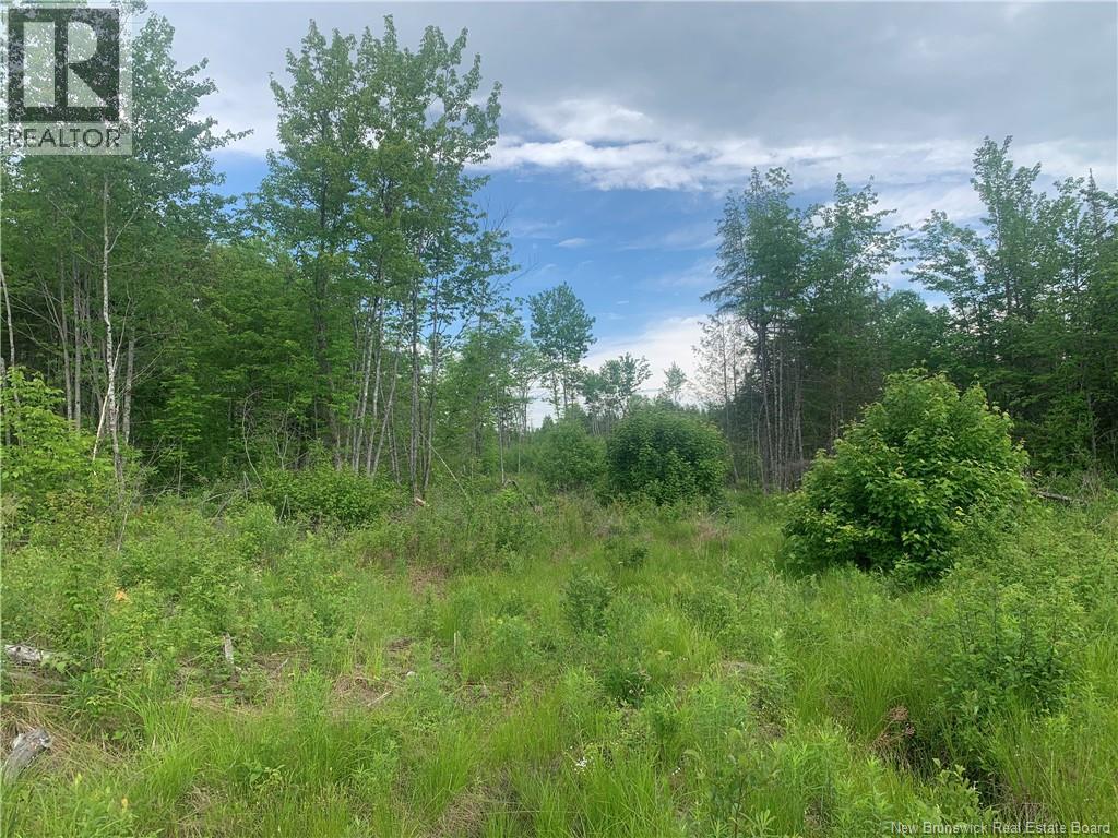 Land Route 3, Dewolfe, New Brunswick  E5A 1K8 - Photo 8 - NB136887