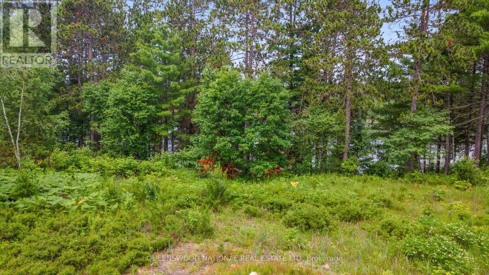 Lot 48 Lakeview Parkway, Madawaska Valley, Ontario  K0J 1B0 - Photo 7 - X13524290