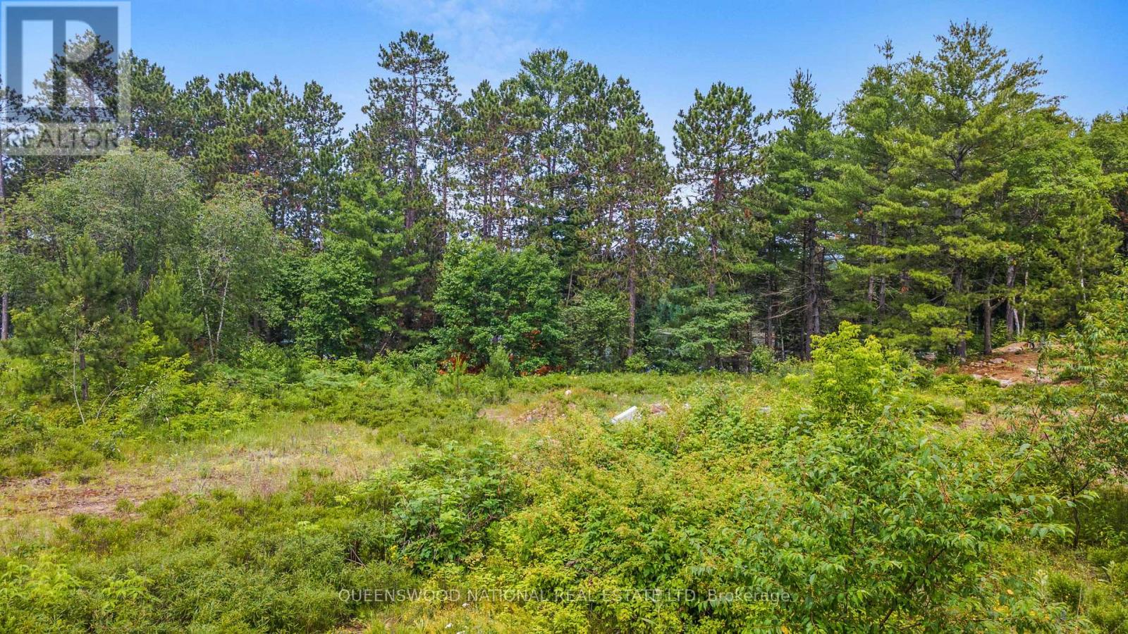Lot 48 Lakeview Parkway, Madawaska Valley, Ontario  K0J 1B0 - Photo 8 - X13524290