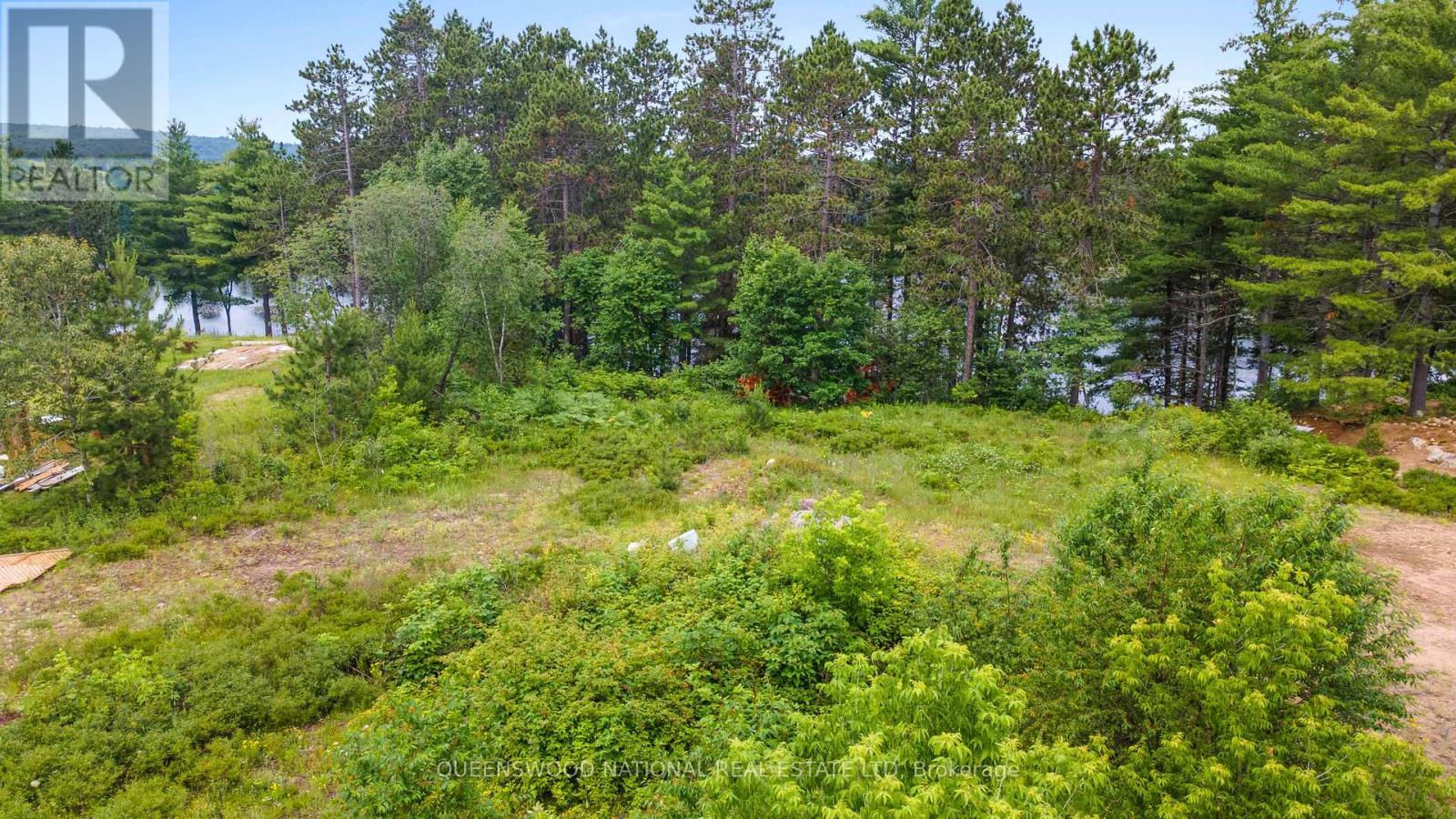 Lot 48 Lakeview Parkway, Madawaska Valley, Ontario  K0J 1B0 - Photo 9 - X13524290