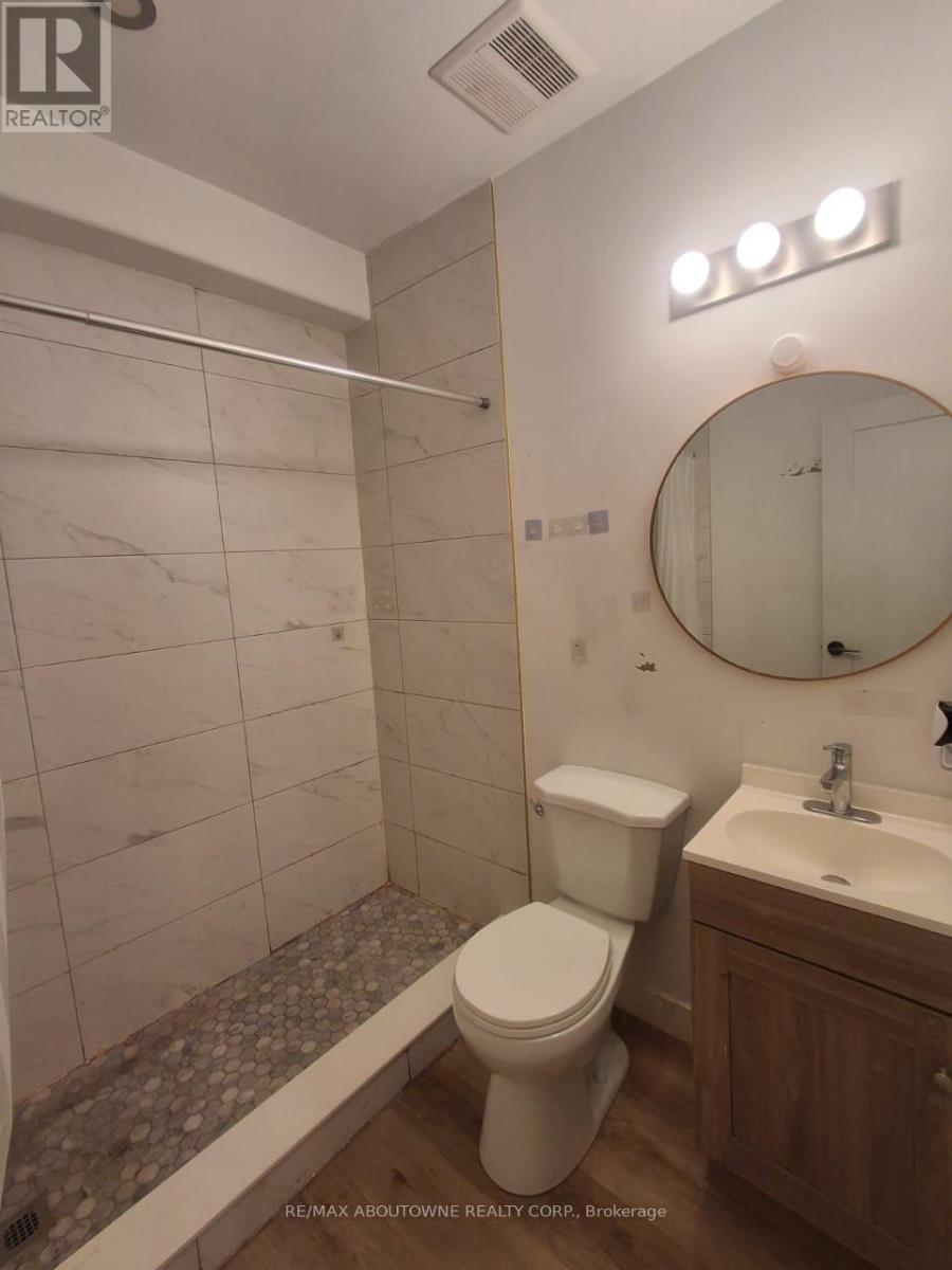 202 - 66 Wellington Street S, Hamilton, Ontario L8N 2R1 - Photo 3 - X13524326