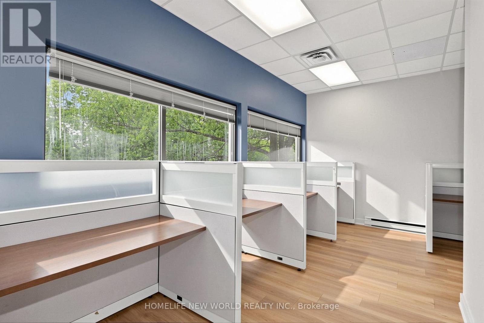 2nd - 87 Sheppard Avenue W, Toronto, Ontario M2N 1M4 - Photo 21 - C13524466