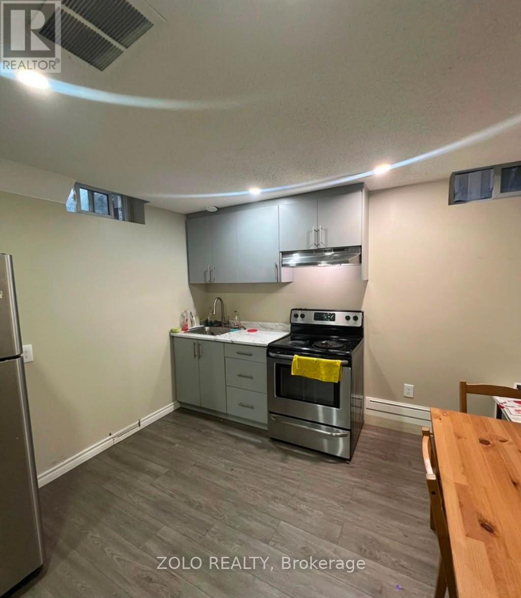 Lower - 196 Appleblossom Drive, Hamilton, Ontario  L9C 7P2 - Photo 2 - X13524754