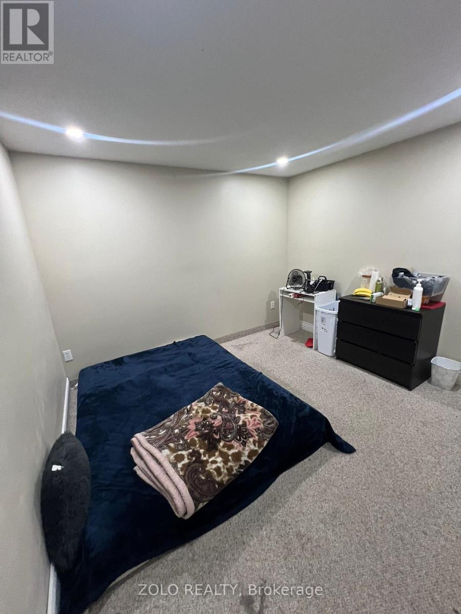 Lower - 196 Appleblossom Drive, Hamilton, Ontario  L9C 7P2 - Photo 6 - X13524754