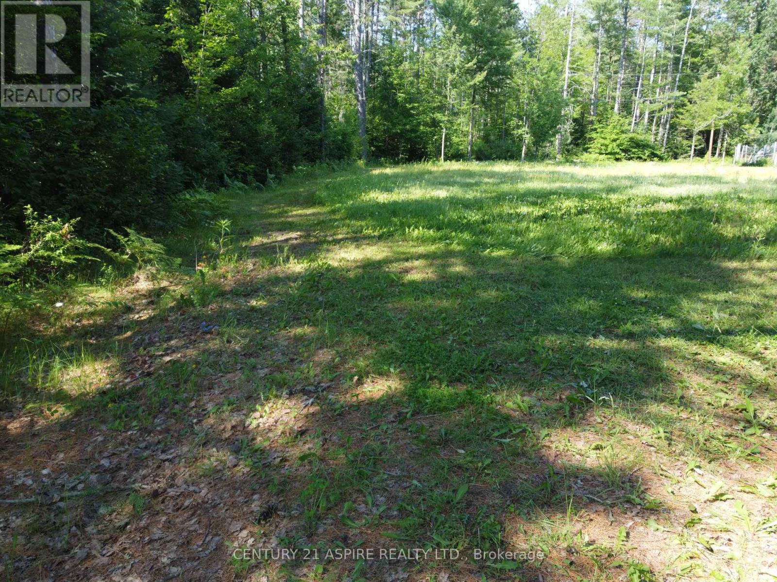 33572 Highway 17 Highway, Deep River, Ontario  K0J 1P0 - Photo 6 - X13524792