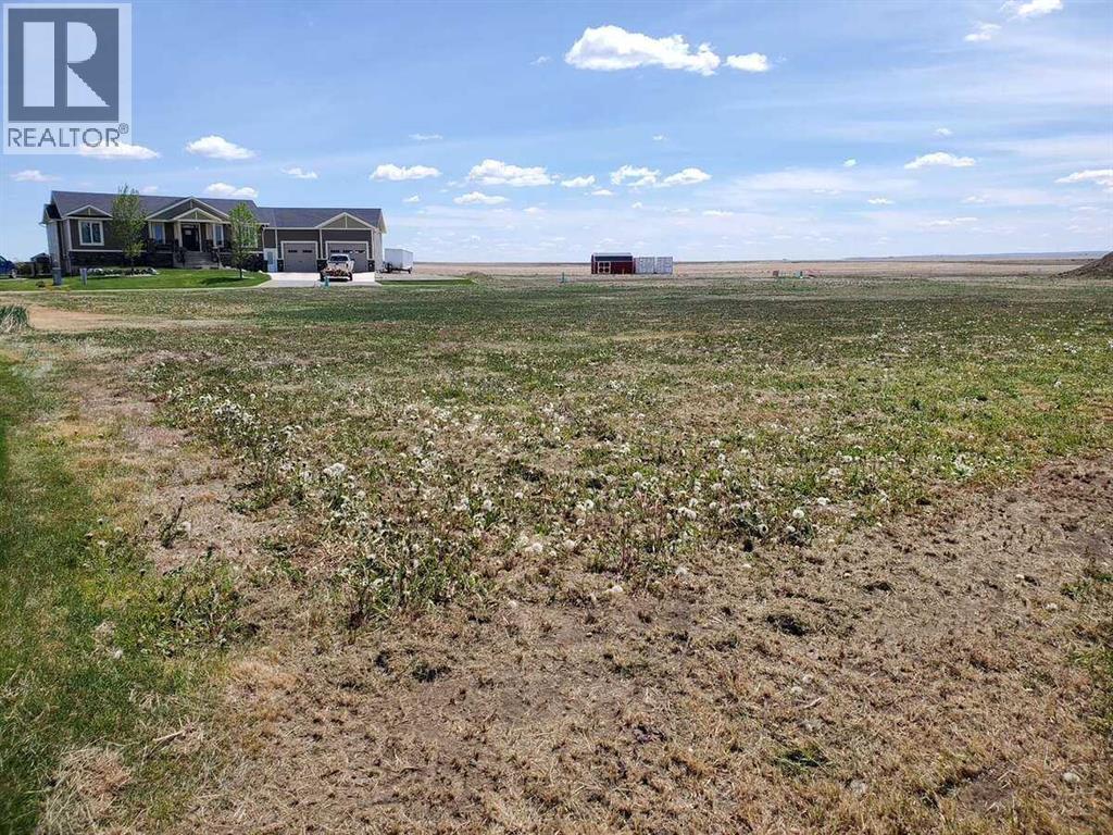 42 Pebble Creek Cove, Raymond, Alberta  T0K 2S0 - Photo 6 - A2291512