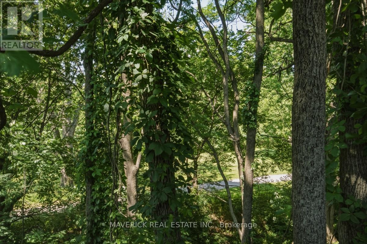 226 Grand Avenue, London South, Ontario  N6C 1M7 - Photo 42 - X13525034