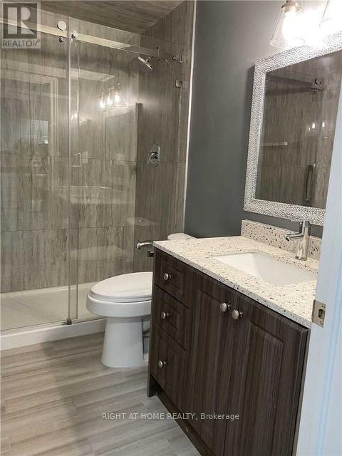 7217 (Basement) Terragar Boulevard, Mississauga, Ontario  L5N 7L9 - Photo 4 - W13525042