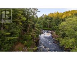 1401 COOPERS FALLS ROAD, Ramara, Ontario