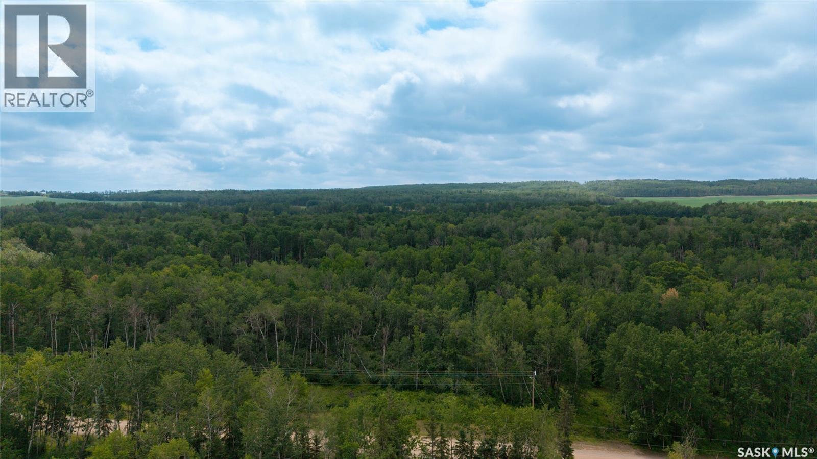 301 Christel Crescent, Beaver River Rm No. 622, Saskatchewan  S0M 1A0 - Photo 82 - SK041531