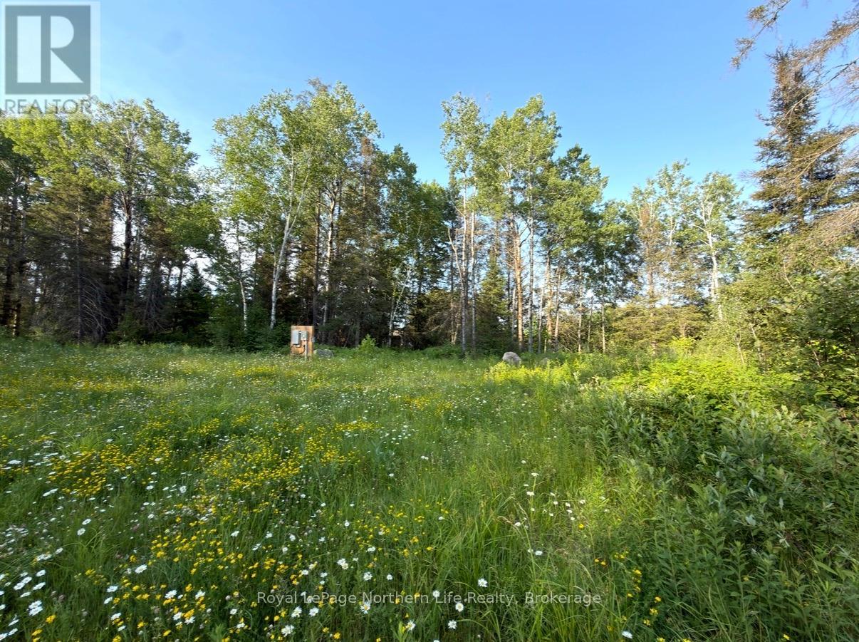 461 Alderdale Road, Chisholm, Ontario  P0H 1B0 - Photo 10 - X13525680
