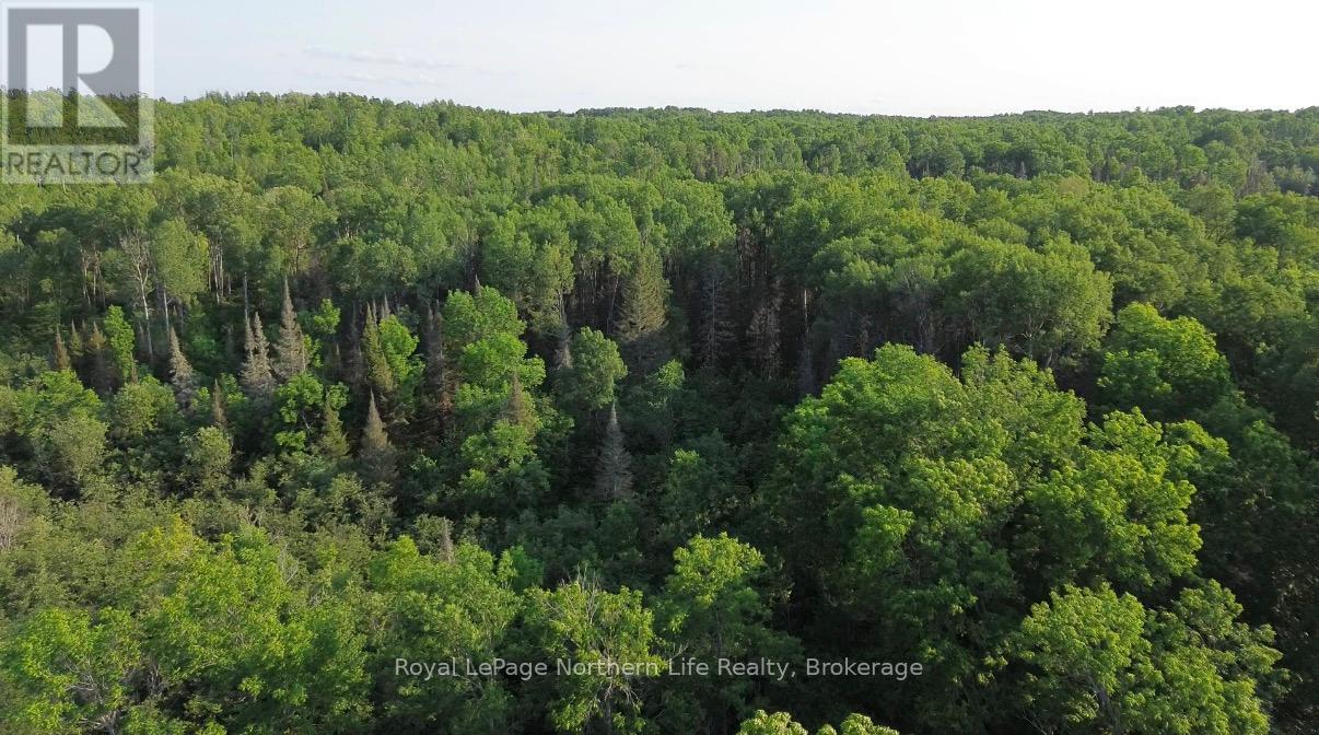 461 Alderdale Road, Chisholm, Ontario  P0H 1B0 - Photo 11 - X13525680