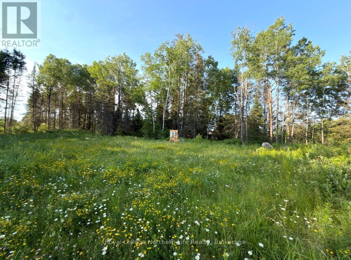 461 Alderdale Road, Chisholm, Ontario  P0H 1B0 - Photo 3 - X13525680