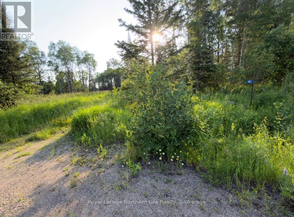 461 Alderdale Road, Chisholm, Ontario  P0H 1B0 - Photo 4 - X13525680