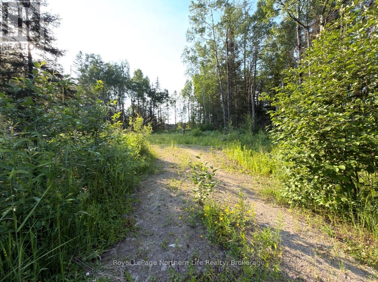 461 Alderdale Road, Chisholm, Ontario  P0H 1B0 - Photo 6 - X13525680