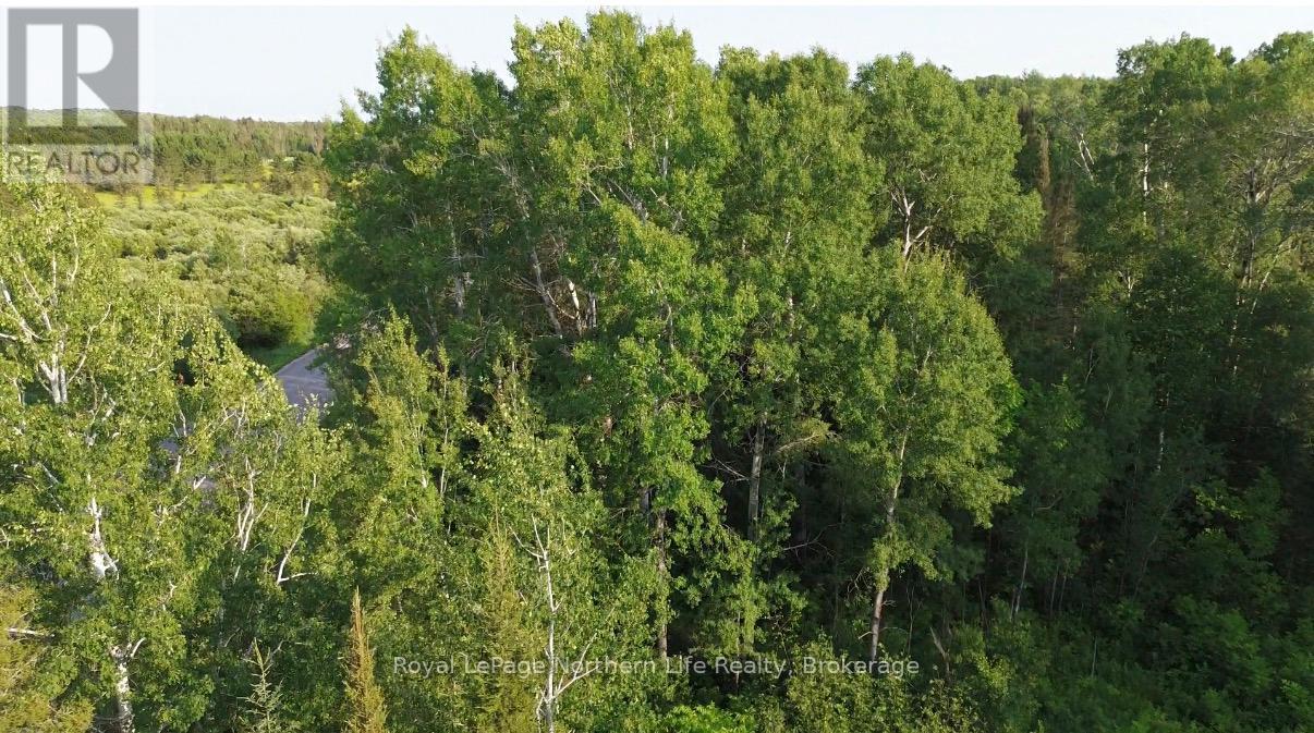 461 Alderdale Road, Chisholm, Ontario  P0H 1B0 - Photo 7 - X13525680