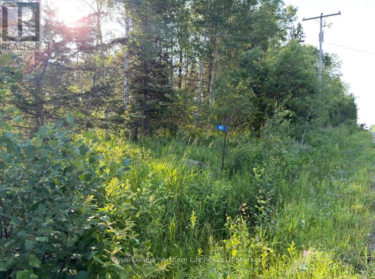 461 Alderdale Road, Chisholm, Ontario  P0H 1B0 - Photo 8 - X13525680