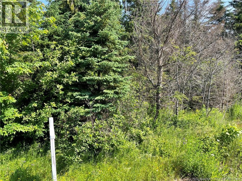 Lot 1 Communication Road, Irishtown, New Brunswick