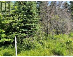 Lot 1 Communication Road, Irishtown, New Brunswick