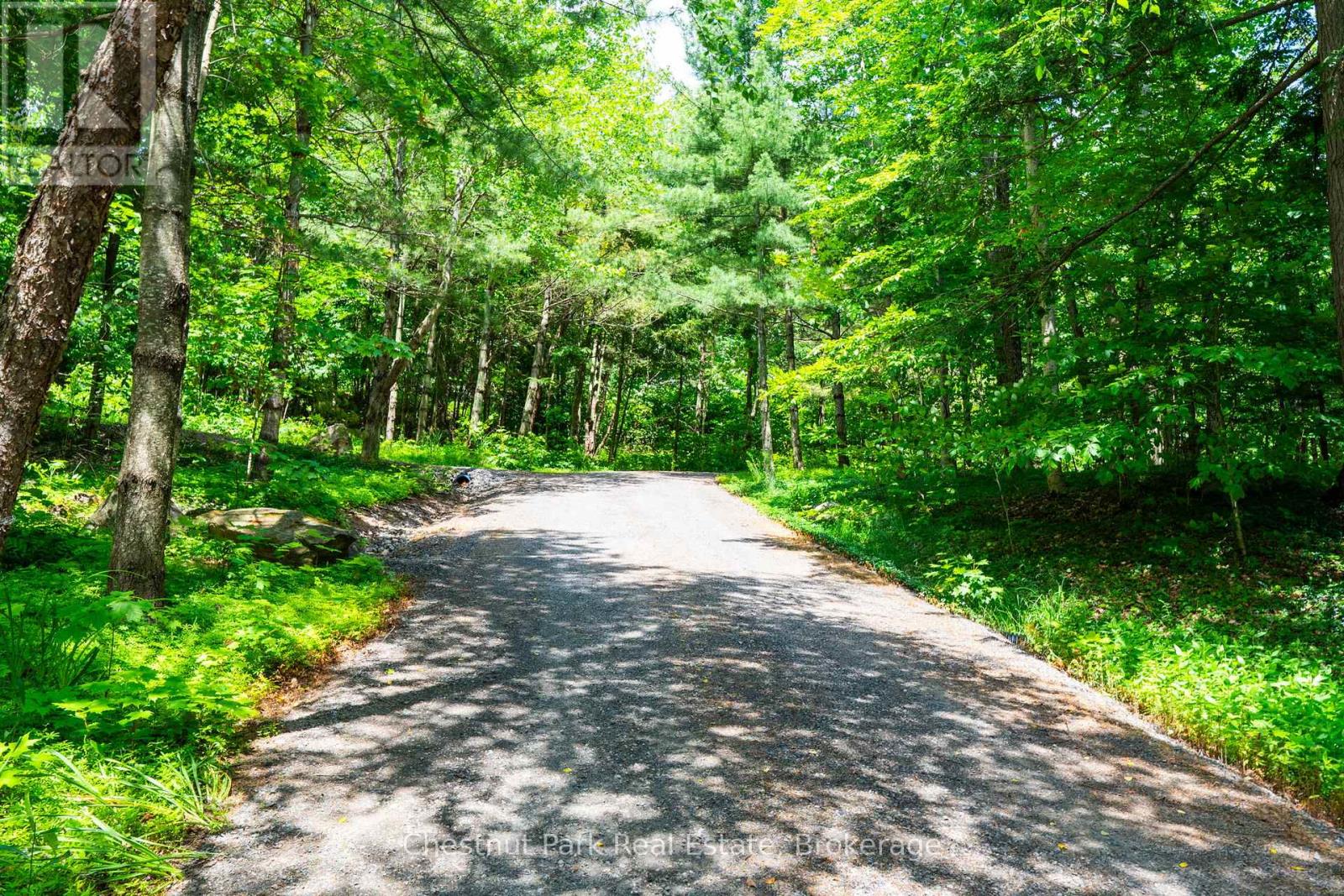 1111 Hemlock Point Side Road N, Muskoka Lakes, Ontario  P0B 1J0 - Photo 43 - X13525752